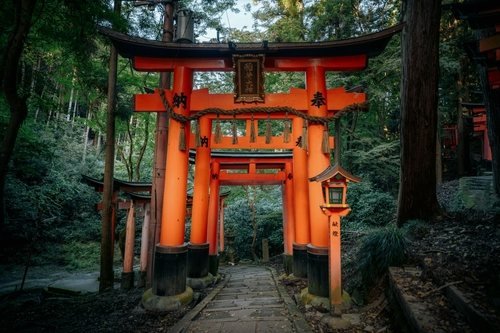 Ein Steinweg führt durch rote Torii-Tore im Wald